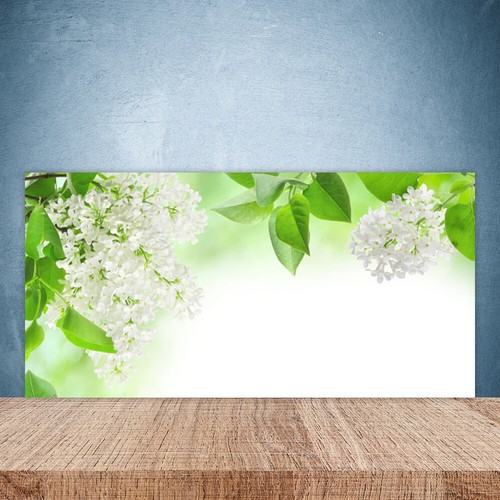 Paraschizzi cucina 100x50 - da,