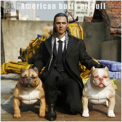Modellino pitbull bullo - pitbull,