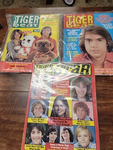 Tiger beat magazine lot - beat,