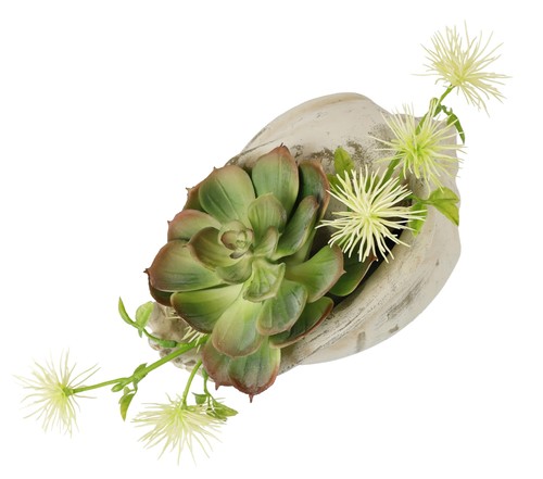 Flair flower arrangiamento - flower,