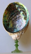 Alzata con conchiglia HALIOTIS e base in etro antico –anni 30