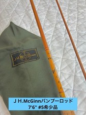 Rara canna di bambù mosca