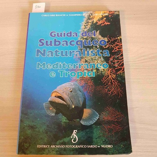 Guida del subacqueo - guida,