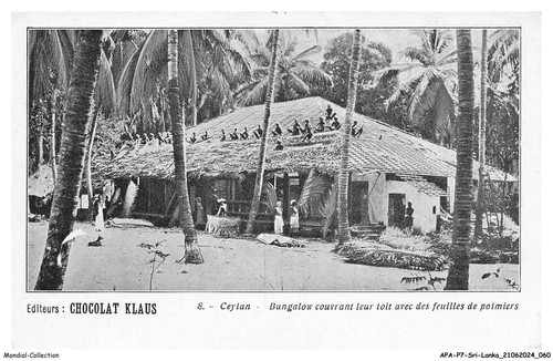Apap7 0442 sri - apap7-0442-sri-lanka, ceylon