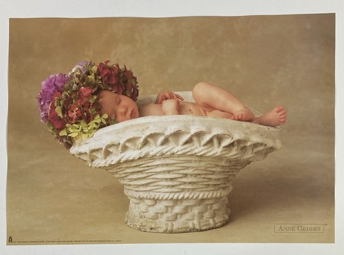Ann geddes poster originale - geddes,,