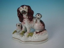 Cocker Spaniel Con Cuccioli