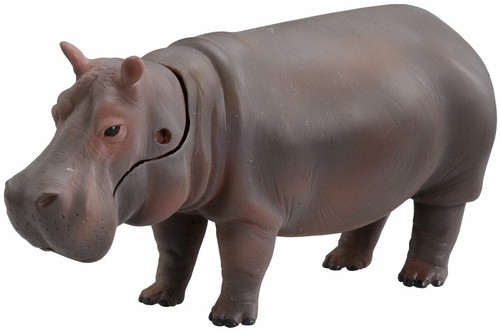 Ippopotamo ania 06 - ippopotamo, as-06