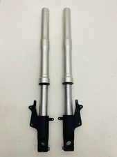 COPPIA CANNE FORCELLE