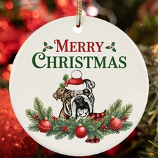 Divertente cane bulldog