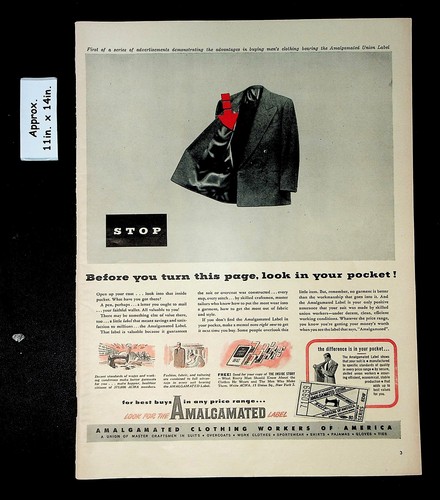 1949 amalgamato abbigliamento - amalgamato,