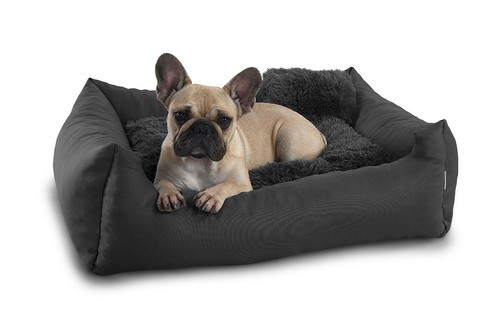 Gutekissen cuccia per - gutekissen,, cani