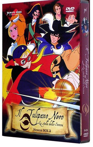 Tulipano nero stella - il,