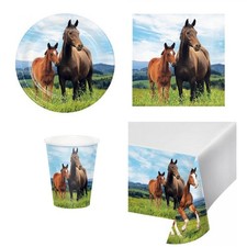 Coordinato festa Cavallo e