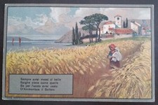 1915 solfato di ammoniaca per la semina - scena agreste del Garda (Verona)