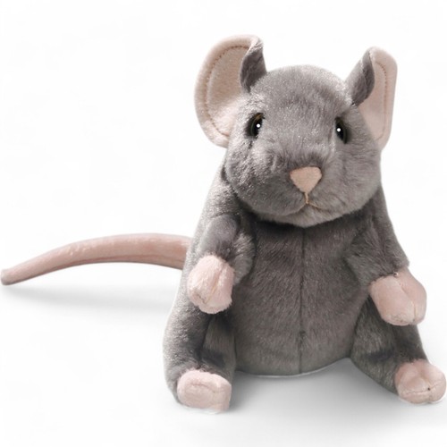 Carl dick topo grigio animale - topo,