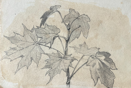 Antico disegno originale