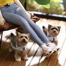 Modellino JXK 1/6 Yorkshire