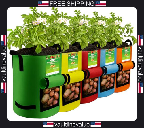 Amazon basics 10gal - amazon,