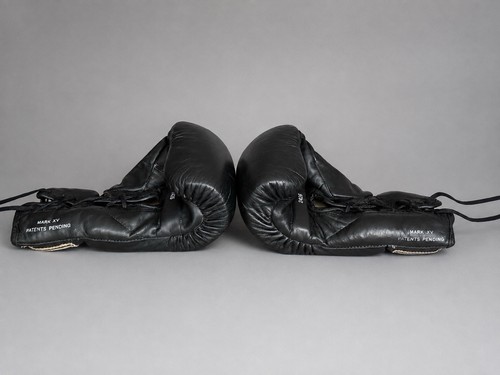 Guantoni boxe everlast 2426 - guantoni,