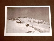 Ww1 prima guerra mondiale - ww1,