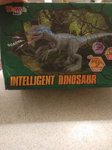 Dinosauro telecomando bambini - dinosauro,