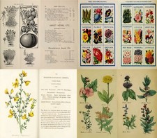 Herbs Botany Botanica Plants Herbal Remedy Medicine Vol.1 - 102 Old Books on DVD
