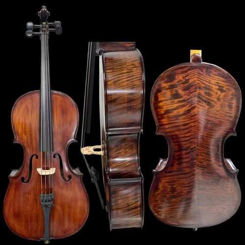 Song master violoncello - master, in
