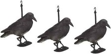3 Corvi Scaccia Piccioni in