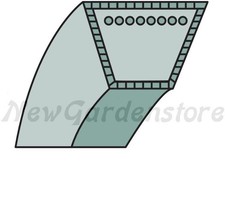 Cinghia trapeziodale