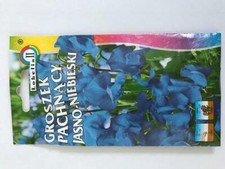 Sweet Pea Blue 15 semi (Lathyrus Odoratus) profumati, fiori blu azzurri