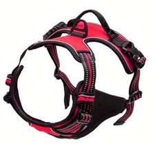 Set Imbracatura e Guinzaglio