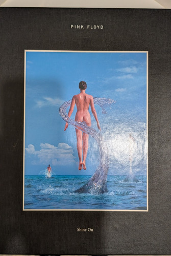 Pink floyd shine - pink,