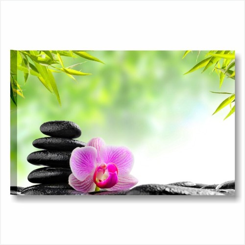 Pietre zen orchidea quadro - orchidea, 1