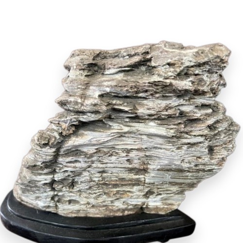 Pietra suiseki grande strato - grande,