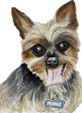 RITRATTO PERSONALIZZATO CANE