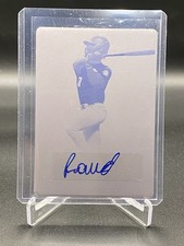 2022 Foglia Gioco Perfetto