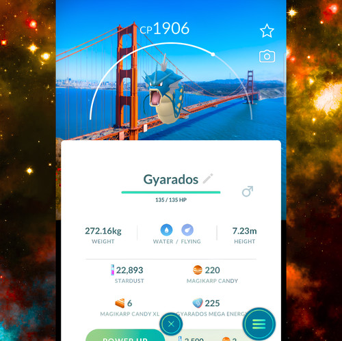 Pokémon gyarados san - gyarados,