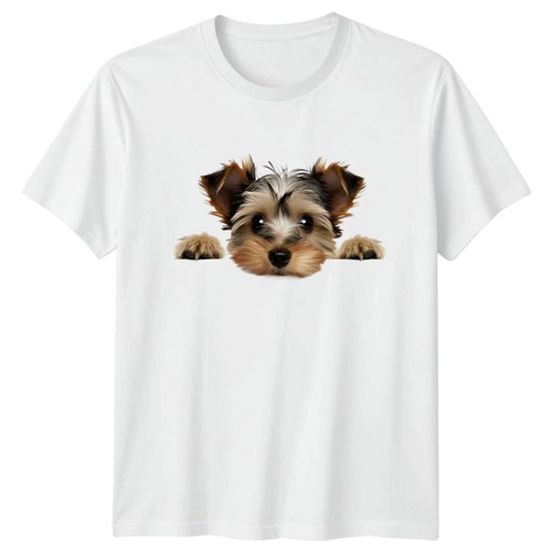 Shirt peeking yorkshire - peeking,