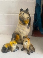 Collie gesso vintage 900 - collie, cane