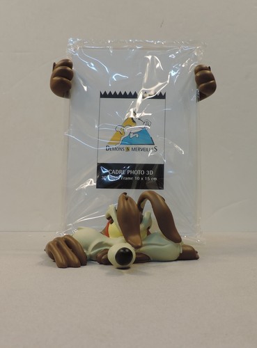 Coyote looney tunes cadre - looney,