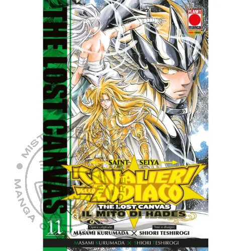 Saint seiya i cavalieri - saint,