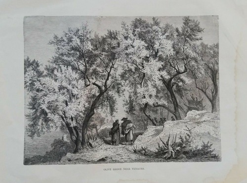 Incisione acciaio venafro - incisione, su