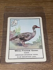 Antico gioco di carte