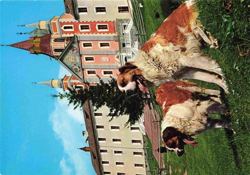 Monte san pietro petersberg - monte,