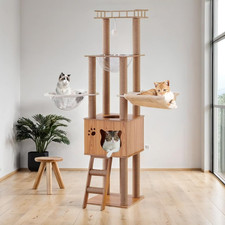Albero per Gatti Da 155 Cm