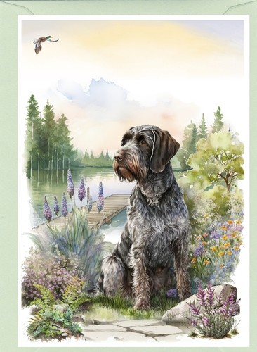 Biglietto auguri per cani - di,