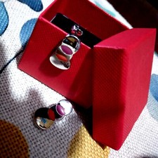 Orecchini Swatch Acciaio E Smalti,scatola Regalo Rossa Omaggio!