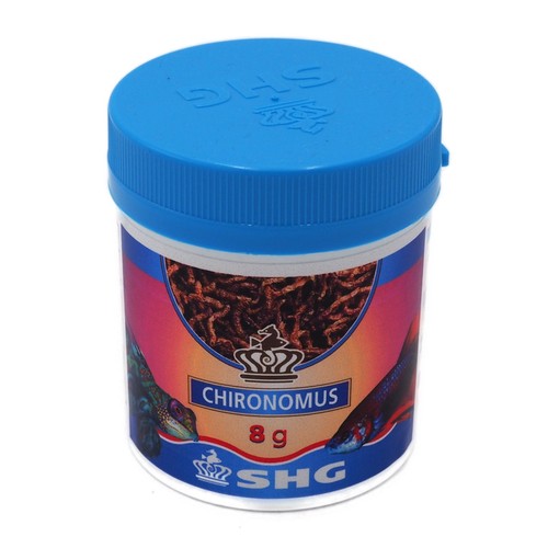 Shg chironomus larve - g,