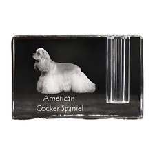 Americano Cocker Spaniel