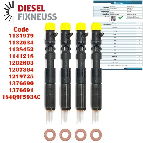Iniettore delphi ejbr02201z - iniettore,